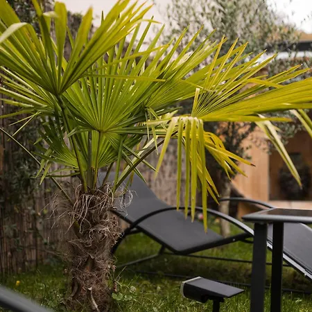 Modernhouse Ko26 Koblenz (Rhineland-Palatinate)