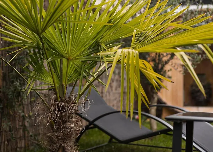 Modernhouse Ko26 Κόμπλεντς